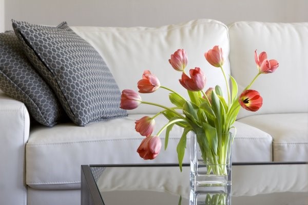 Choosing the perfect flowers and indoor plants for your new home